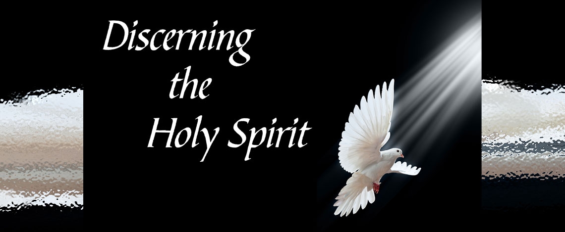 Discerning the Holy Spirit - Week 4