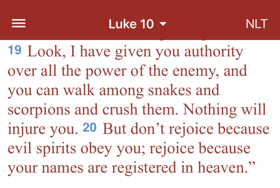 I am reading a chapter a day in the book of Luke.  These verses stuck out to me today.  As a child of God, Jesus has given me authority over ALL the power of the enemy!  No weapon formed against me shall prosper.  The devil will try BUT I KNOW THE TRUTH!Hallelujah!
