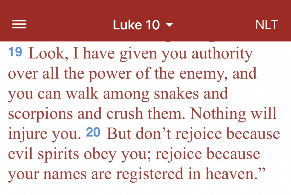 I am reading a chapter a day in the book of Luke. These verses stuck out to me today. As a child of God, Jesus has given me authority over ALL the power of the enemy! No weapon formed against me shall prosper. The devil will try BUT I KNOW THE TRUTH!Hallelujah!