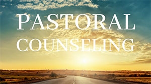 This week we concluded our study on Pastoral Counseling. The final lesson in the series was titled Blended Families a.k.a. counseling The Brady Bunch. Everyone in attendance had some kind of experience with blended families, step-parents and step-children, and shared many testimonies. If you have personal experience, a testimony, or a question about counseling blended families, post your comment or question here and ICM's staff and counselors will reply.