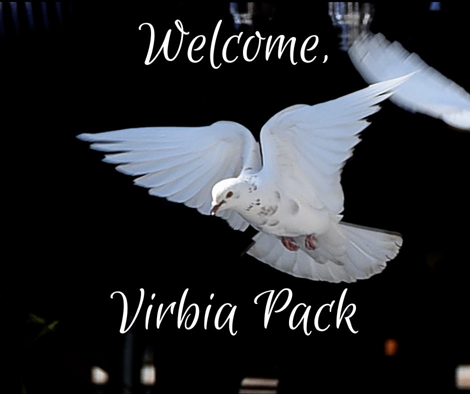 Virbia, from Arlington, TX, is returning to ICM for her Master of Arts in Ministry!