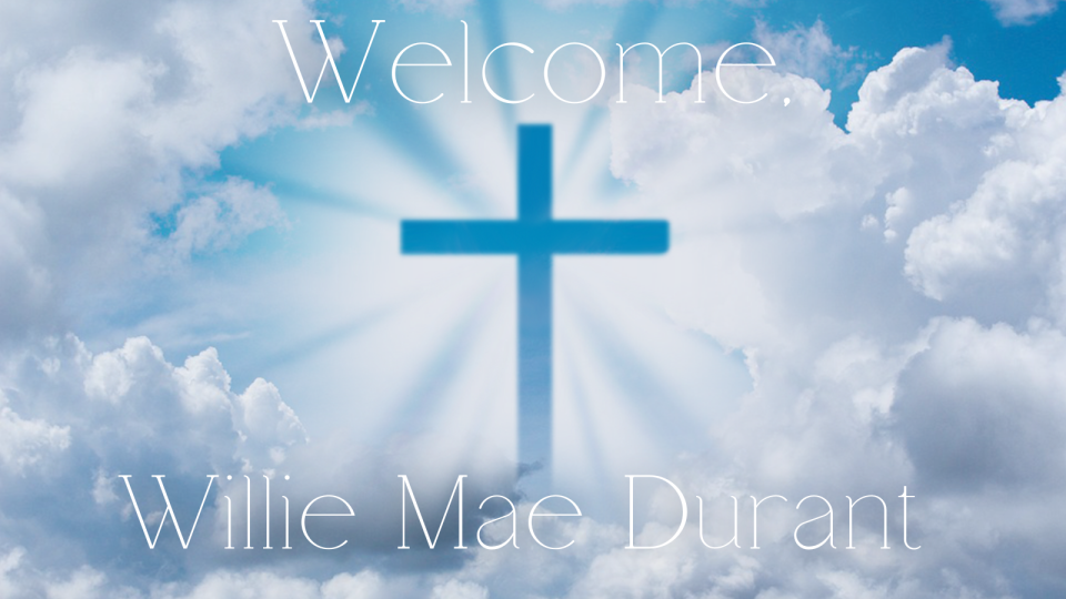 Alexus, from Dallas, TX, has been accepted into our MA in Christian Counseling program!Paris, from Syracuse, NY, has also enrolled in our MA in Christian Counseling program.Pamela, from Bossier City, LA, is returning to ICM for her Doctor of Philosophy in Christian Counseling,and Willie Mae, from Sumpter, SC, is returning to ICM for her Doctor of Christian Counseling degree.Welcome, students!