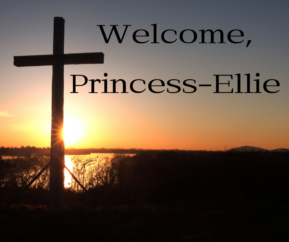 Welcome, new students! Angela, from Lake Mary, Fl, has been accepted into our Master of Theology program. Princess-Ellie, from Bristol, in the UK, has been accepted into our Doctor of Prophetic Ministry program.